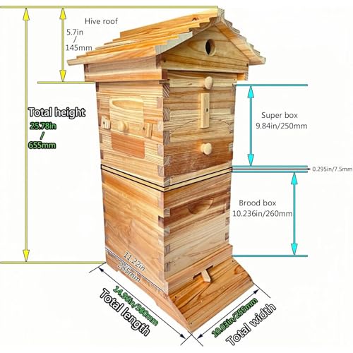 Bienenstock-Set – Strömungsstock mit Beobachtungsfenster & Honigauslauf, Bienenbox aus Holz mit integriertem Zimmermann-Bienenhaus