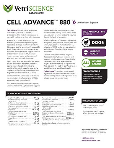 Vetriscience Cell Advance 880 Immune Support Supplement For Dogs Over 30Lbs, 120 Capsules - Coq10, Amino Acids And Multivitamin For Dogs, 120 Capsules (880 Mg) #TOP3