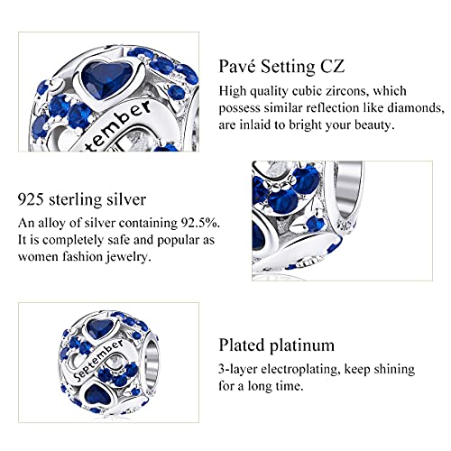 Birthstone Charm Jewelry 925 Sterling Silver Infinity Love Heart Charm Openwork Bead for European Bracelets and Necklaces with 5A Cubic Zirconia, Birthday Mothers Day Jewelry Gifts for Women & Girls4