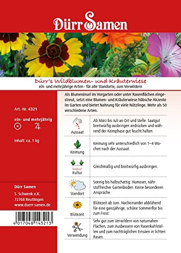Dürr Samen 4321-DS Wildblumen- und Kräuterwiese 350-400m² (Blumenwiese)