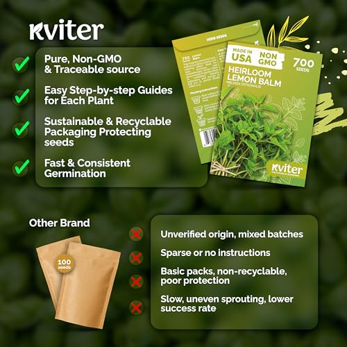 KVITER 700 Lemon Balm Seeds for Planting (Melissa Officinalis) – Heirloom & Organic Medicinal Herb Seeds – Grow in Herb Garden, Pots, Beds Indoors & Outdoors for Calming Lemon Balm Tea - Image 5