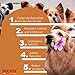 Dolvit Allergy 90 Tabletten, Allergie Tabletten für Hunde gegen Juckreiz & Dermatitis, Natürliches Ergänzungsfutter Hund zur Fellpflege, Hautgesundheit & Unterstützung bei Allergie Hund