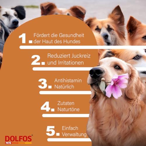 Dolvit Allergy 90 Tabletten, Allergie Tabletten für Hunde gegen Juckreiz & Dermatitis, Natürliches Ergänzungsfutter Hund zur Fellpflege, Hautgesundheit & Unterstützung bei Allergie Hund