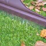 Suinga B09LYZKB49 lato 2