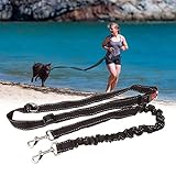 Super Elasticidad --- la correa de manos libres para perros absorberá el estrés rápido causado por perros grandes para evitar la tensión muscular. Tendrá la experiencia de caminar o hacer ejercicio más cómodo.
