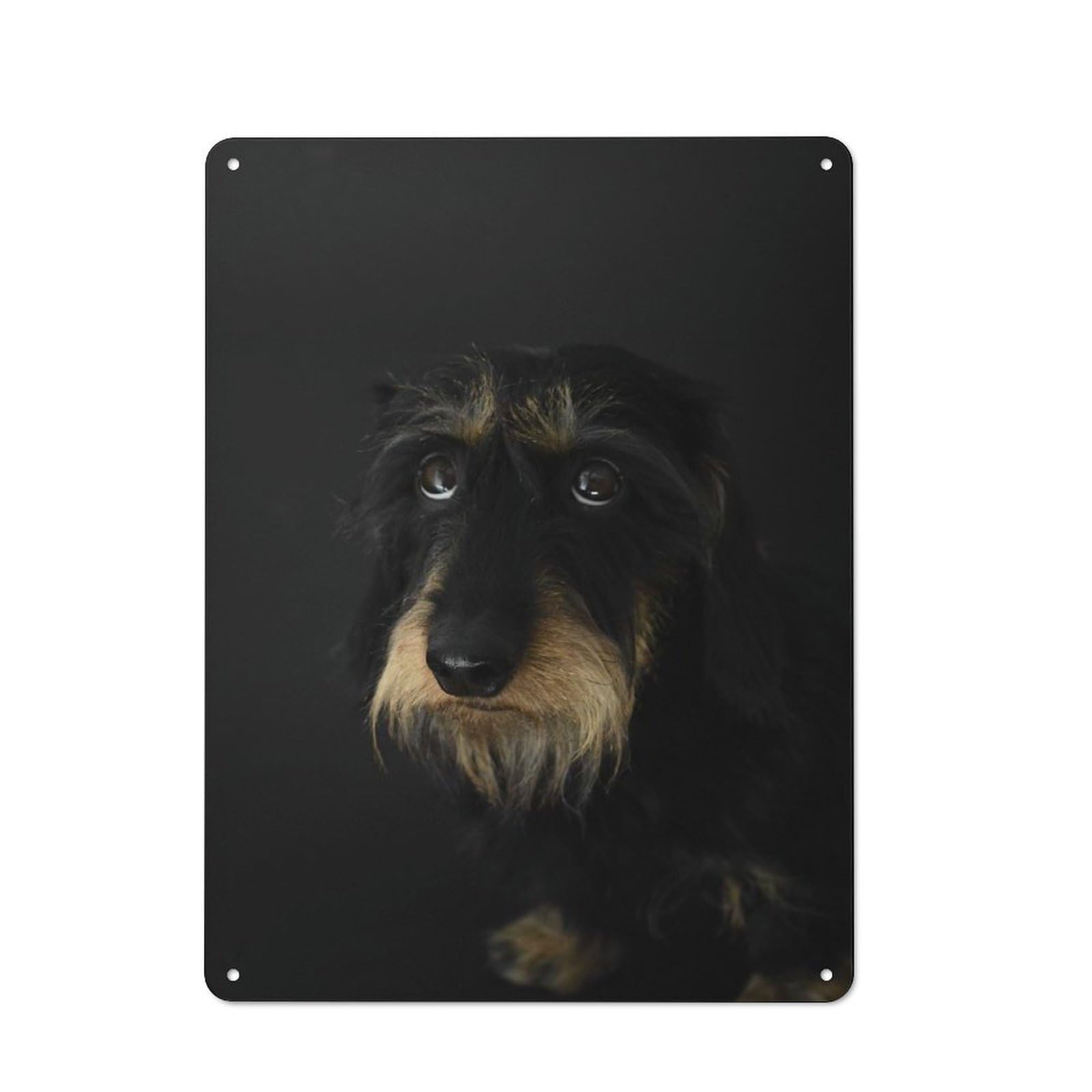 Dachshund Portrait Metal Wall Plaque for Travel Lovers, Birthday, Housewarming Or Christmas Gift, 40x30cm