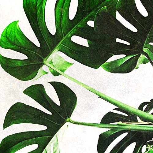 Inside Lights and Earth