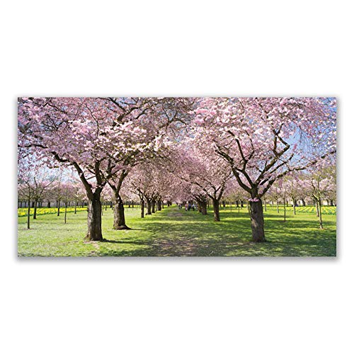 Toile nature arbres 120x60cm pour illuminer un mur sombre