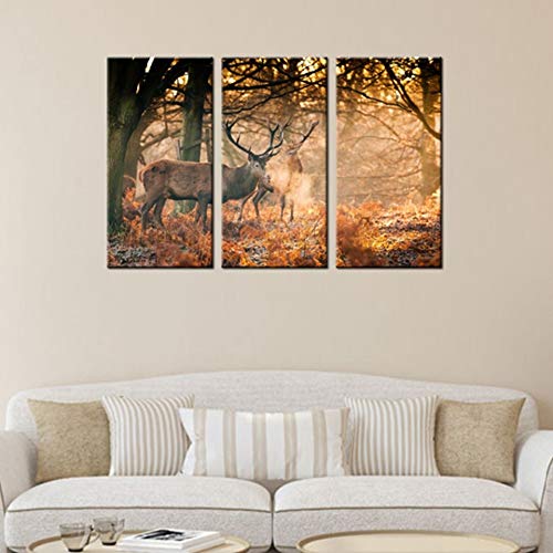 Tableau sur toile photos mur HD triptyque arbre et cerf - 3