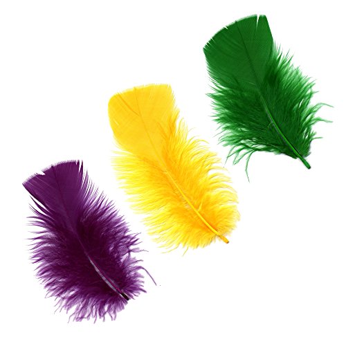 Zucker Feather (TM) - Loose Turkey Plumage Mix Dyed - Mardigras Mix