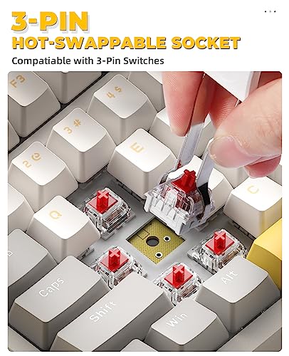 RK96 Tastiera Gaming Meccanica, 90% Tastiera Wireless 2.4Ghz/Bluetooth 5.0, Apex Pro TKL Hot Swap 100 Tasti Interruttore Rosso Lineare con Ricevitore 2 in 1 per PC/MAC/Smartphone - Tastiera gaming - Immagine 5