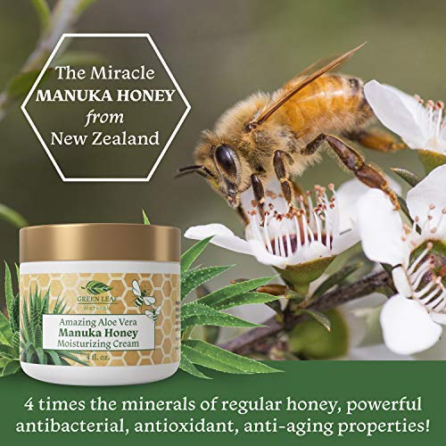 Manuka Honey Moisturizing Cream (4Oz) Moisturizing Lotion Treatment For Psoriasis Relief - Itchy, Dry Skin Rash Healing Ointment - Skin Soothing Moisturizer For Kids, Adults, Baby Ultra Strength Honey Creme For Eczema #TOP2