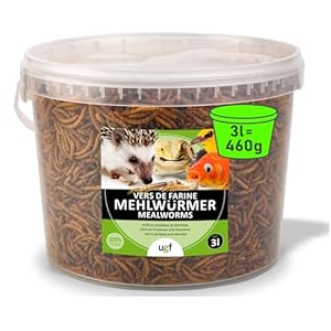 UGF – Premium Mehlwürmer getrocknet 3 Liter Eimer – 460g, Vogelfutter Wildvögel Ganzjährig, Igelfutter, Eichhörnchen Futter, Hamster Futter