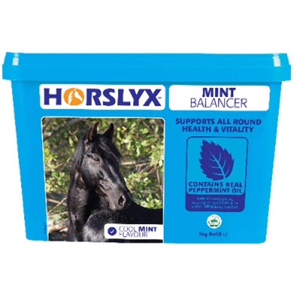 Horslyx Mint Balancer Horse Supplement Lick, 5 kg — image 1