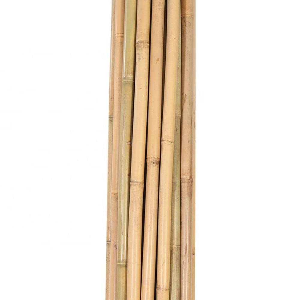 Canne di bambù naturali, per sostegno piante, orto, decorazione e arredamento (10, 180 cm/Ø 20/22 mm)