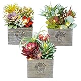 Mingfuxin Succulents Plants Artificial with Light, Small Fake Plants in Pots for Home Decor, Potted Decorative Succulents Plants for Table Desk Bathroom Office Room Decor