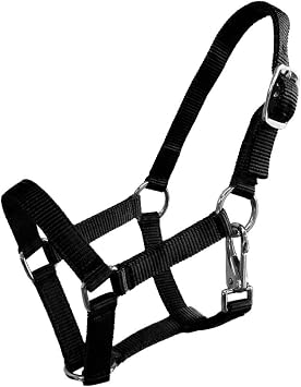 Nylon Foal Halter Black