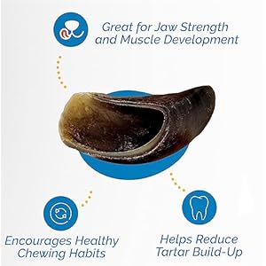 Hooves-for-Dogs-25-Count-100-Natural-Long-Lasting-Beef-Dog-Treats-Made-from-Beef-Hoof-from-Free-Range-Grass-Fed-Cattle-with-NO-Additives-Coloring-or-Chemicals - Cucciolini Doodles   Hooves-for-Dogs-25-Count-100-Natural-Long-Lasting-Beef-Dog-Treats-Made-from-Beef-Hoof-from-Free-Range-Grass-Fed-Cattle-with-NO-Additives-Coloring-or-Chemicals