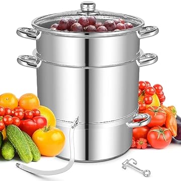 best juicer for grapes