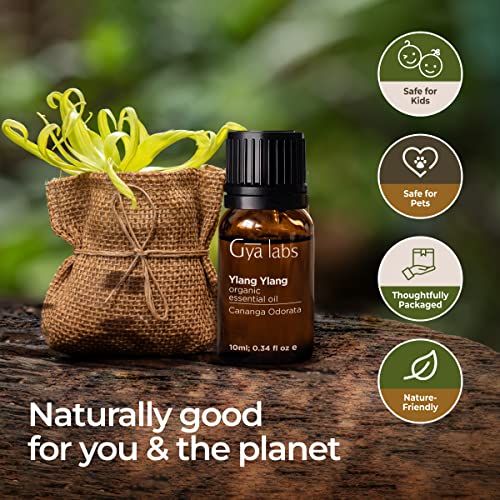 Gya Labs Ylang-Ylang Essential Oil Organic For Diffuser- 100% Pure And Natural Therapeutic Grade Organic Ylang Ylang Essential Oil For Skin - Ylang Ylang Oil For Hair Growth & Aromatherapy 0.34 Fl Oz #TOP5