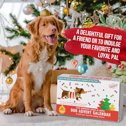 Season 4 Sparkles Dog Treats Advent Calendar 2023 Made In Usa Dog Treats Assorted Flavors Doggie Treats Christmas Advent Calendar For Dogs 24 Dog Christmas Puppy Treats Holiday Days Advent Calendar For Dogs With Treats thumb #2