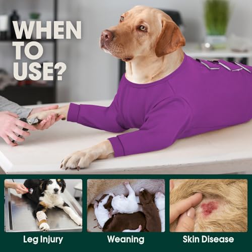 Image of Kuoser Dog Surgery Suit Female Spay, Dog Recovery Sleeves for Front Legs, Prevent Licking Recovery Suit for Dogs, Pet Surgical Suit Doggie Onesie, Puppy Elbow Protector for Leg Injuries and Joint Pain