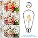SHINE HAI 10-Pack LED Edison Bulb Dimmable, Daylight White 5000K, 60W Equivalent, 6W, 800 Lumens High Brightness, ST64 Vintage Filament Light Bulb, LED Antique Bulbs, CRI 85+, E26 Medium Base
