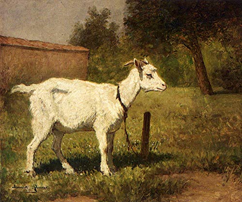 Une chèvre dans un mouton de prairie, l'émotion de l'art pastoral