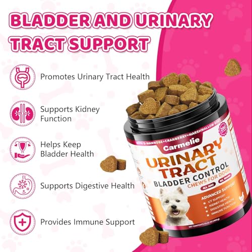 Image of Cranberry for Dogs, Dog Urinary Tract & Bladder Support + D-Mannose, 200ct