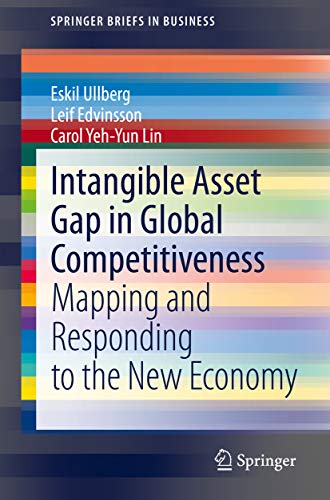 Intangible Asset Gap in Global Competitiveness: Mapping and Responding to the New Economy (SpringerBriefs in Business) (English Edition)