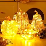 Glooglitter 4 Pack Glass Pumpkin with Lights and Timer 4 Size Lighted Mercury Glass Pumpkins for Fall Halloween Thanksgiving Decorations Home Table Centerpieces Porch Battery Operated (Gold)