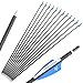 limaity Archery 31Inch Targeting Arrows Carbon Arrow 1000 Spine Practice Target Arrow 2 Inch Rubber Feather for Traditional Recurve Bow and Compound Bow Longbow (Blue, 12)