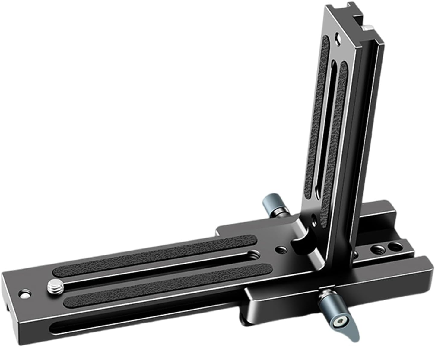 veitchii wild sp select #1 子株 ビカクシダ P.veichii wild select