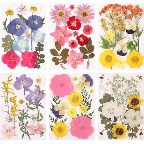 eBoot 72 Pcs Dried Pressed Flowers Set Cover