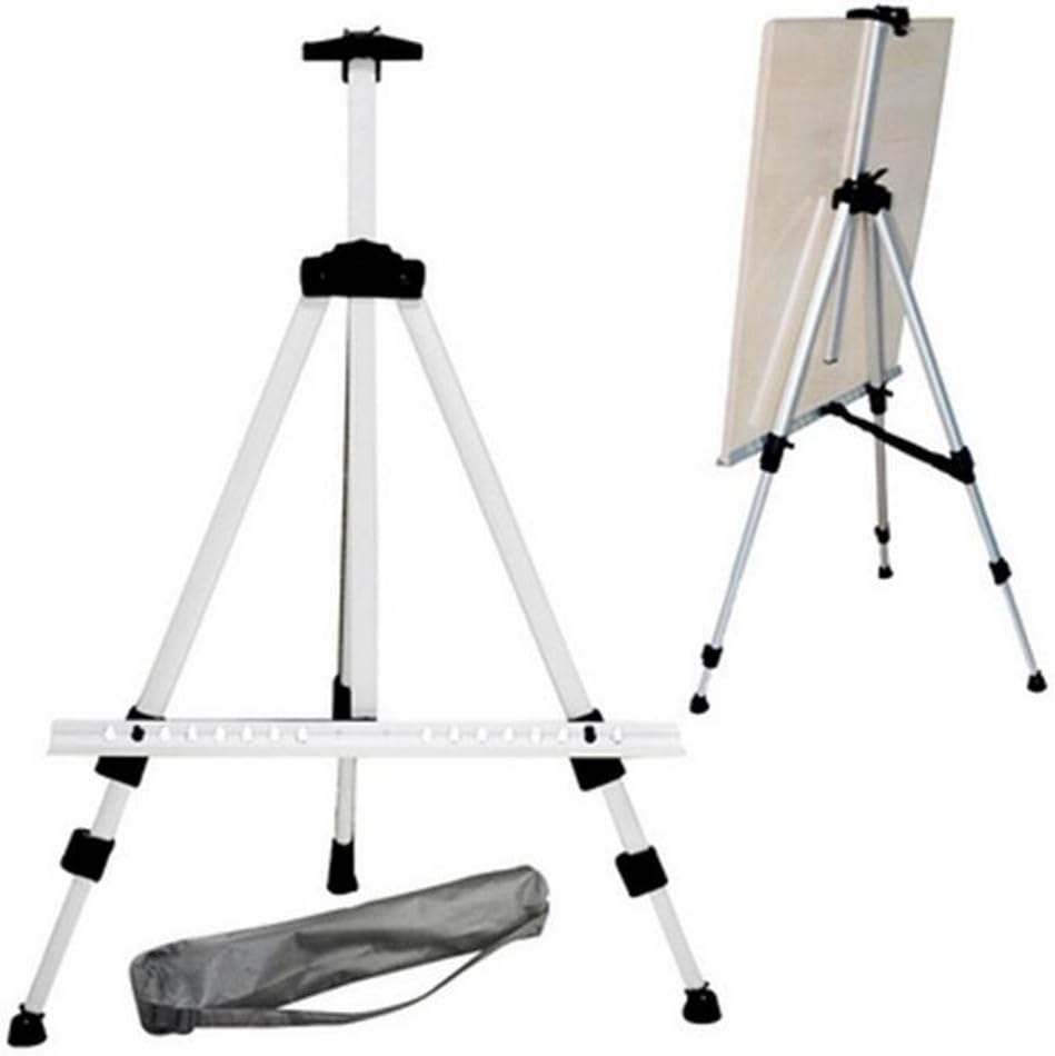 Amazon.com: Folding Telescopic Aluminum Field Easel Art Painting Stand ...
