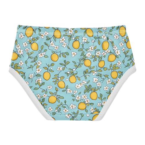 Wusikd Cute Lemon Girls' Underwear Cotton Light Blue Girls Briefs Soft Toddler Underwear 2T2