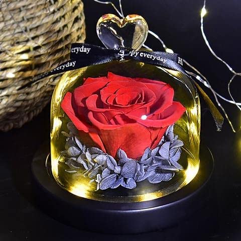 shirylzee La Bella e La Bestia Rosa Eterna Luce di Vetro Rosa Cupola L