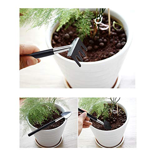 Bonsai-Werkzeugset BlueMake, 15-teilig für Sukkulenten und Topfpflanzen