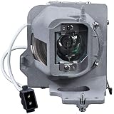 DrBulb Lampe Vidéoprojecteur Ampoule HD143X HD144X BL-FP240G / SP.7AZ01GC01 Compatible avec Optoma HD243X HD270E HD27BE HD27E HD39darbee WU334 WU335 WU336 WU337 EH334 EH335 EH336 EH337 DH350