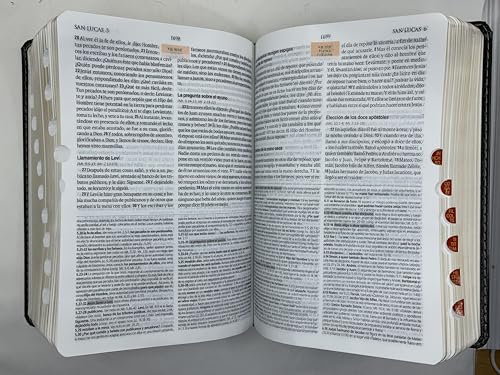 Biblia de Estudio Teologico (Spanish Edition) - image 8