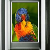 Framed Canvas Wall Art Single Bird Birds Expressive Farmhouse/Country Multicolor Photography Portrait Single - 16x24 inches
