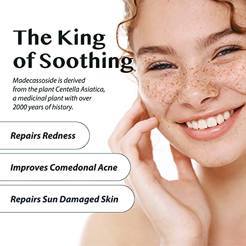 A'pieu Madecassoside 2X Cream (1.69 Fl Oz) - For Combination And Blemish-Prone Skin, Helps Soothe Dryness, Sun Damage, Even Dark Spots - Centella Asiatica, Asiaticoside, Asiatic Acid #TOP2