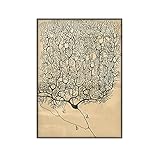 Bild Wandbilder Vintage Neuron Zeichnung Poster Leinwand Bilder Santiago Ramon Und Cajal Gehirn Anatomie Wandkunst Korridor Dekorativ 60x90cm x1 Rahmenlos