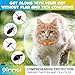 Anti-Floh- und Anti-Zecken-Halsband für Katzen, 4 Stück gegen Larven und Eier – beseitigt und tötet – schützt das Tier und den Lebensraum, effektiver Schutz für 24 Monate, verstellbar und wasserdicht