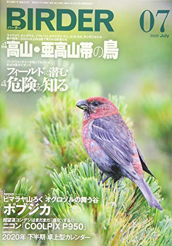 無料電子書籍 pdf BIRDER(バーダー)2020年7月号 高山・亜高山帯の鳥/フィールドに潜む危険を知 バイ