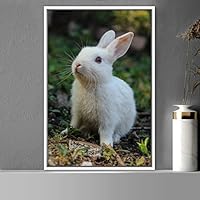 Framed Canvas Wall Art Bunny Animals Bedroom Expressive Multicolor Photography Rabbit Rustic - 16x24 inches