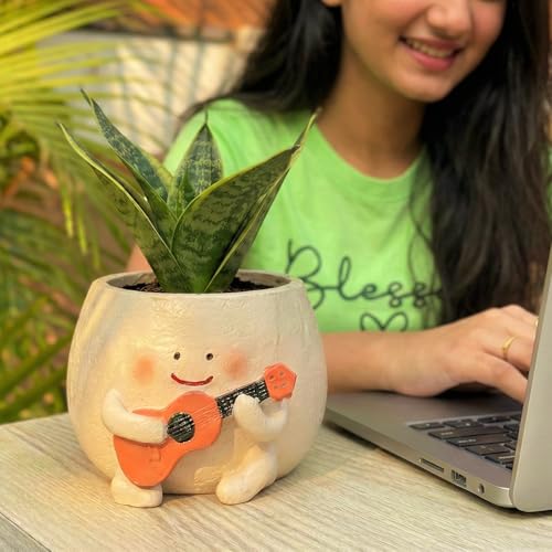 Image of Cute Guitar Planter Pot | Smiling Planters for Home Decor | Polyresin Plant Pot for Living Room Table Home Kitchen Decoration