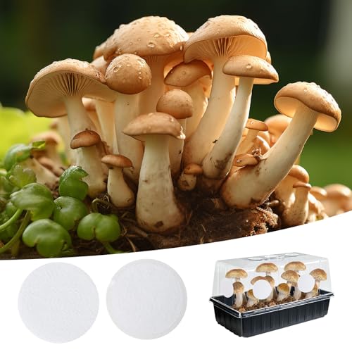 Image of 12PCS 2.5in Monotub Adhesive Filter Disks, Mushroom Monotub Filter Discs, Mushroom Filter, Filter Patch for Monotub, for Mushroom Growing Supplies Filter Pad Replacements.(2mm Thick) (12PCS)