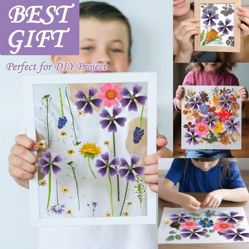Flores Secas de Malva Prensadas Moradas para Manualidades miniatura 7