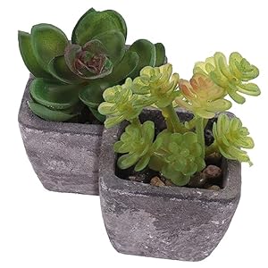 NUSITOU 2 Stuks Tuinaanleg Mini Bonsai Prop Ingemaakte Nepcactus Levendige Bonsai Lichte Huisdecoratie Voor Thuis Kunstmatige Sappige Decoraties Levensechte Cactus Plant Pvc Rekwisieten